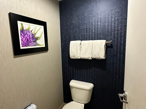 盐湖城雷顿万枫酒店主图