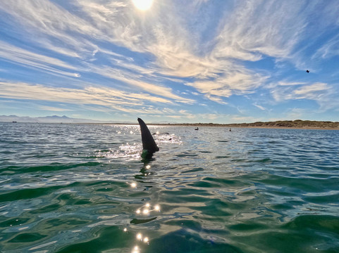 The Cortez Club-拉巴斯必去景点