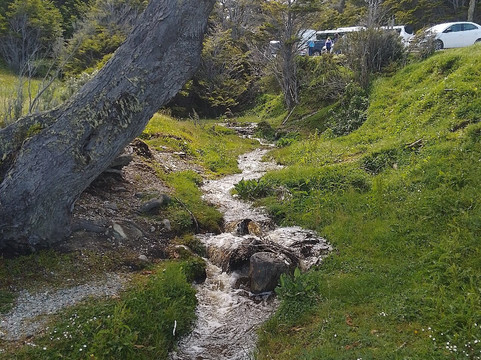 Bahía Ensenada Zaratiegui-Tierra del Fuego National Park必去景点