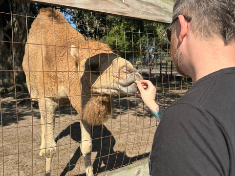 Animal EDventure Park & Safari-博因顿海滩必去景点