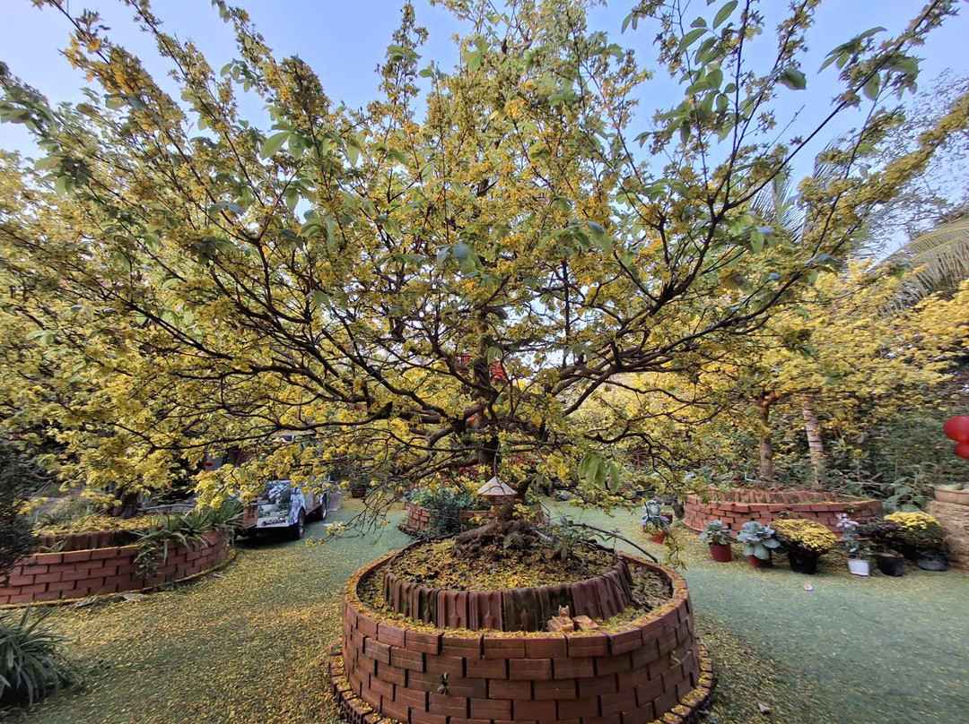 凯比湄公乡村住宿主图