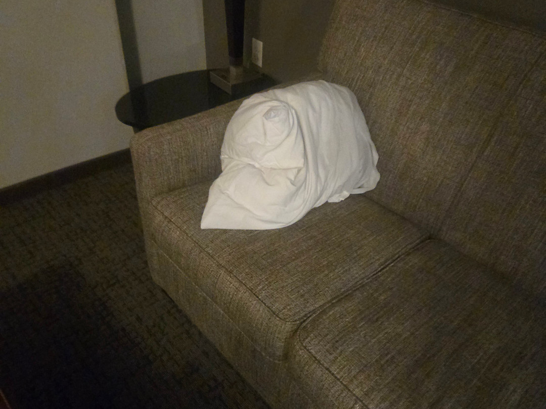 圣保罗市中心德鲁里广场酒店主图