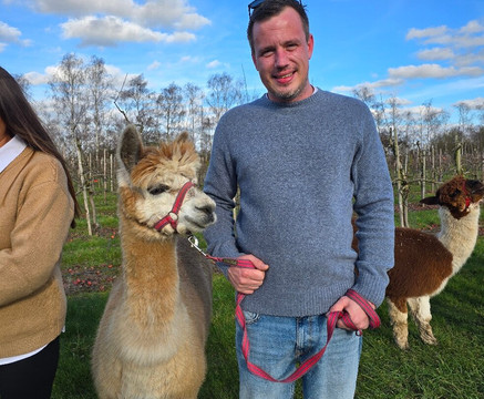 All Things Alpaca Ltd-切姆斯福德必去景点