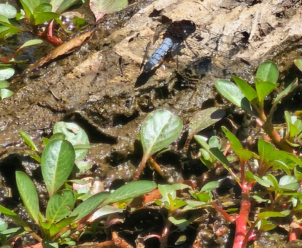 Quebrada De Córdova-Isla Negra必去景点