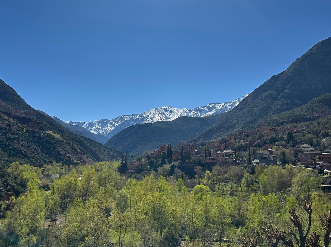 Oasis Desert Tours-卡萨布兰卡必去景点