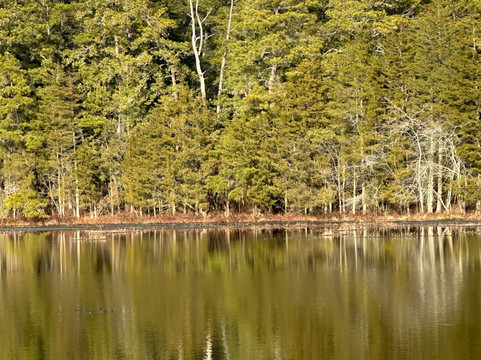 Wharton State Forest-Batsto必去景点