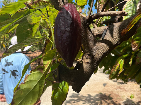 Kahuku Farms-卡胡库必去景点