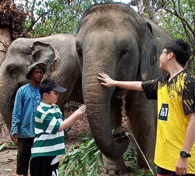 Koh Yao Elephant Beach-阁耀亚伊岛必去景点