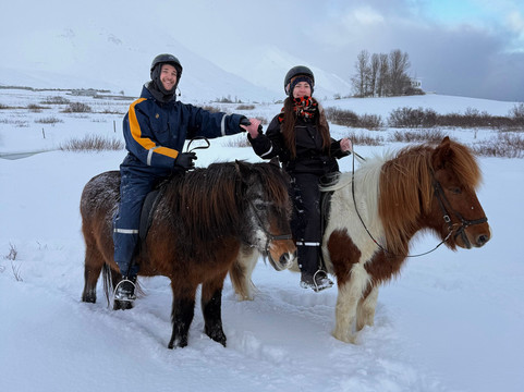 Tvistur Horse Rental-Dalvik必去景点