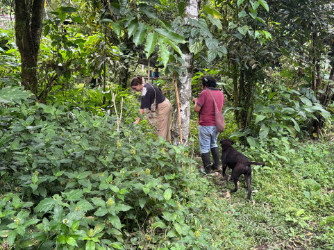 Shuklla Experiences-Archidona必去景点
