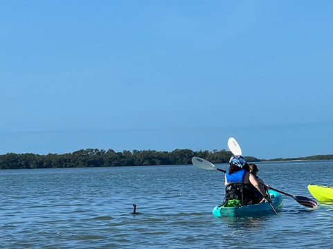 Capt Yak-Tierra Verde必去景点