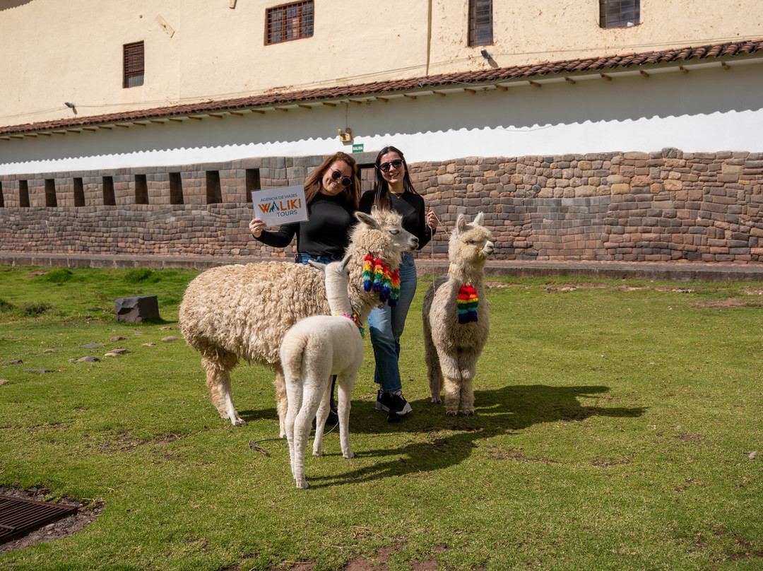 Waliki Tours