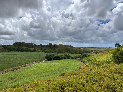 Quad Activities Constance Flacq-Centre de Flacq必去景点