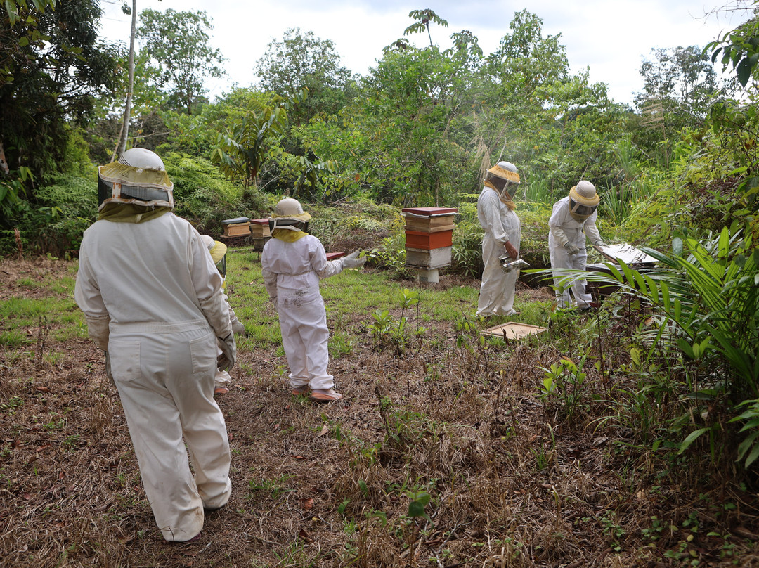 Manuel Antonio Bee Farm Tour-哥斯达黎加安东尼奥国家公园必去景点