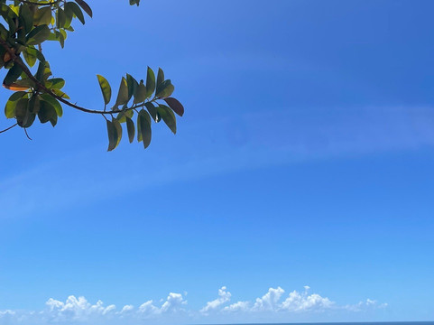 Centro Historico-Porto Seguro必去景点