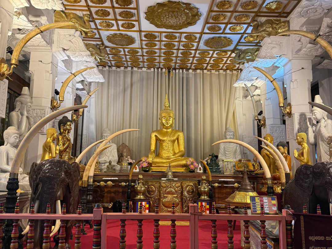 Travel Buddy-Kirindiwela必去景点