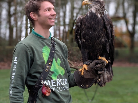 Mercer Falconry Raptor Park-Farnsfield必去景点
