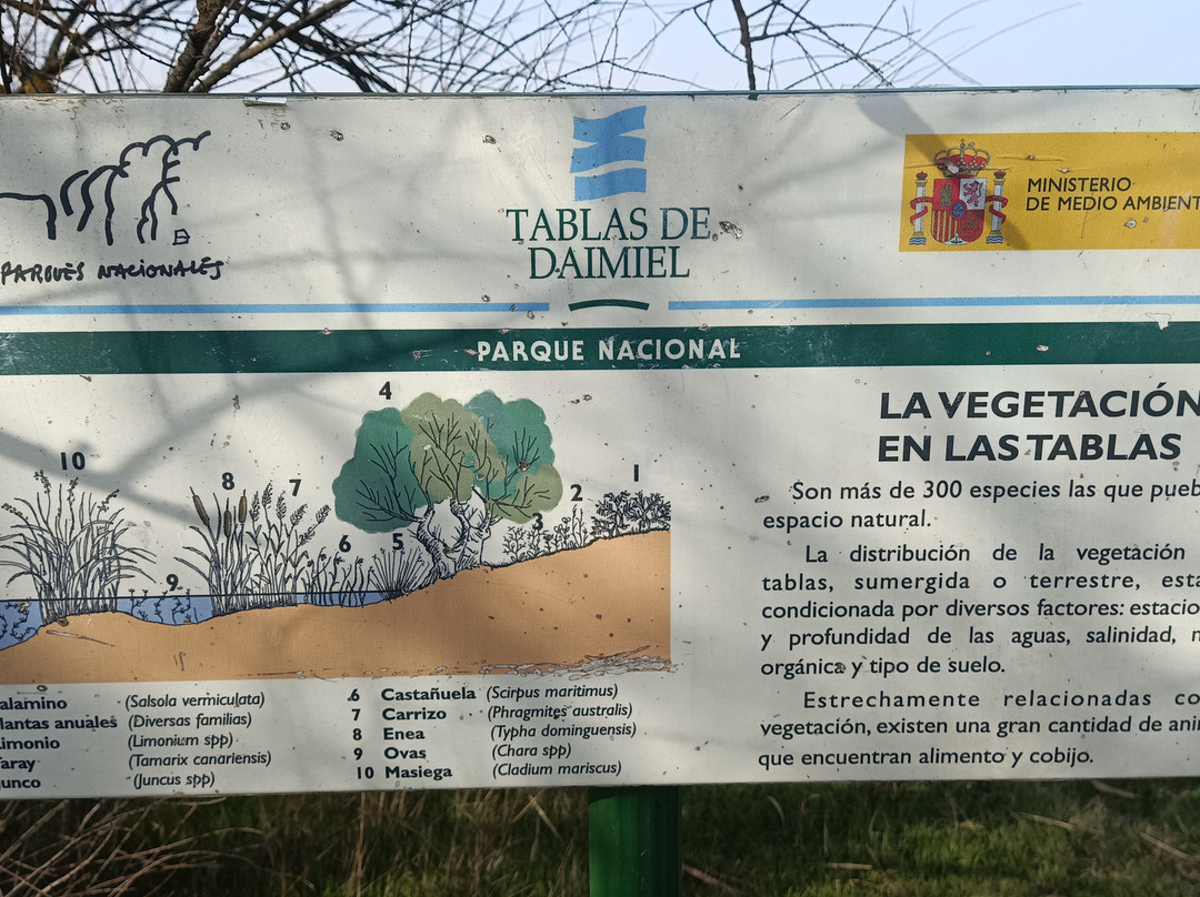 Parque Nacional de las Tablas de Daimiel-Daimiel必去景点