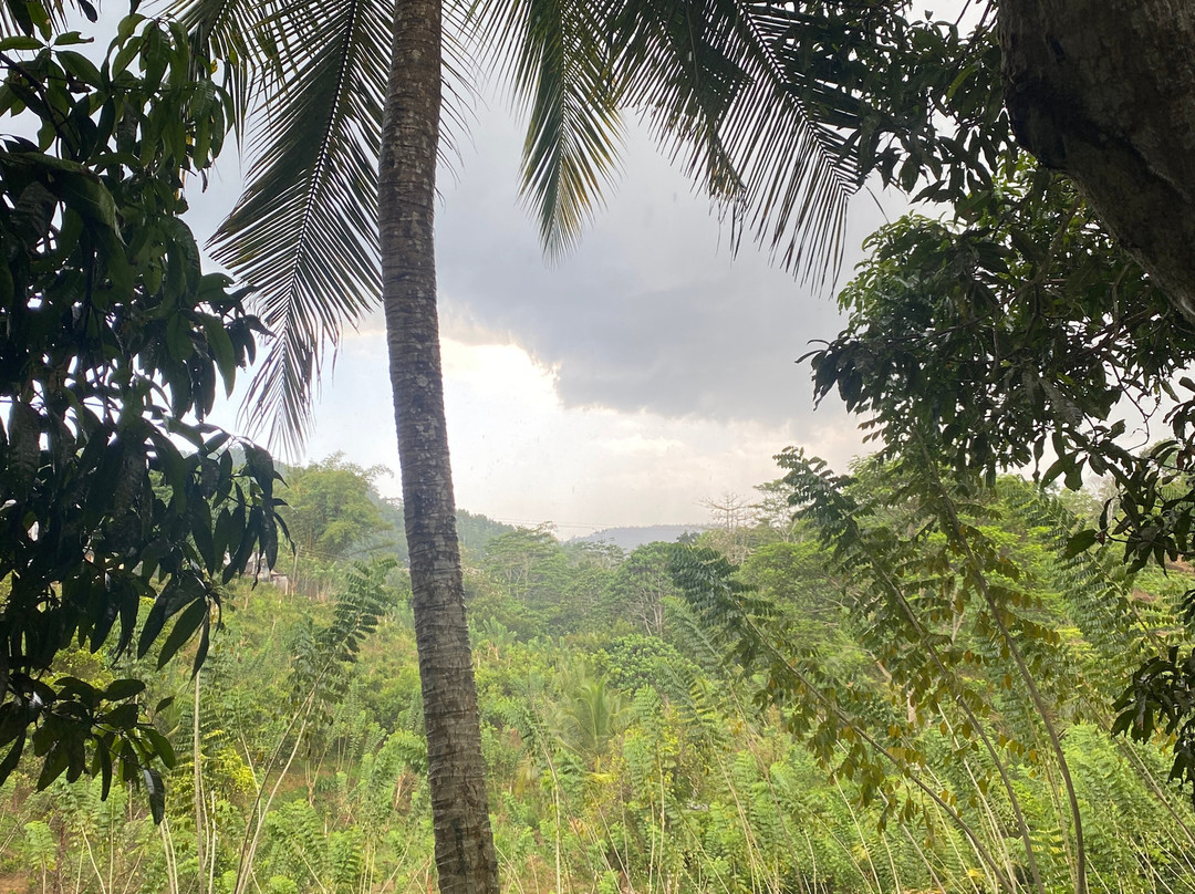Tsara Tea-Akuressa必去景点