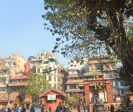 喜马拉雅饭店主图