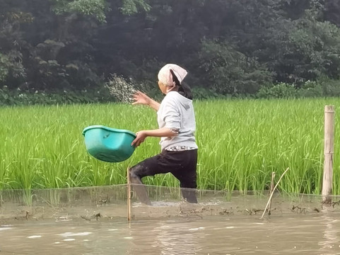 Vietnam Dragon Travel-河内必去景点