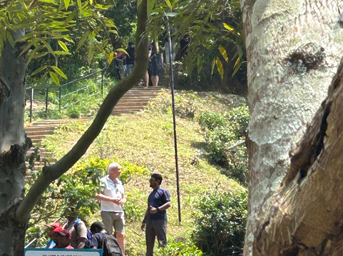 Surf Travel Lanka-Maggona必去景点