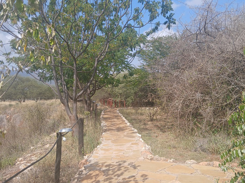 Oldonyo Orok Lodge主图