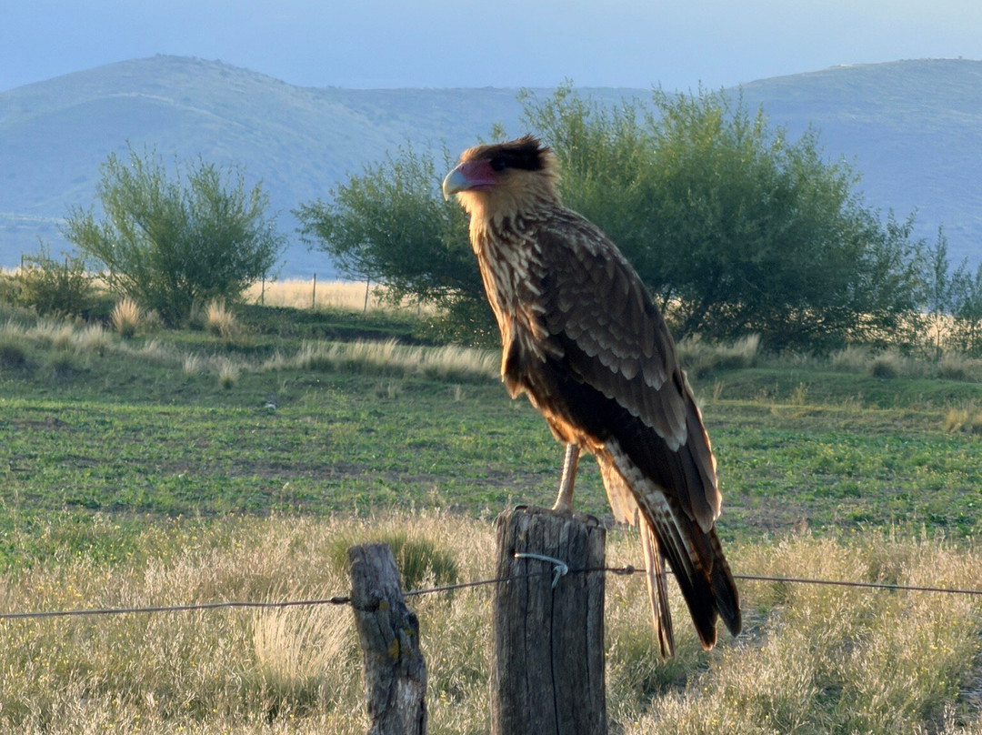 Vivacs Del Plata-Tupungato必去景点