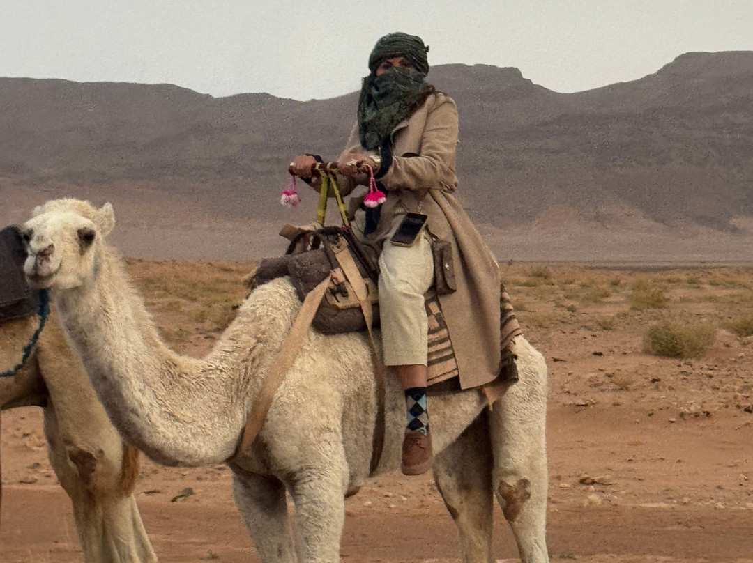 Viajar Marrocos Tours-卡萨布兰卡必去景点