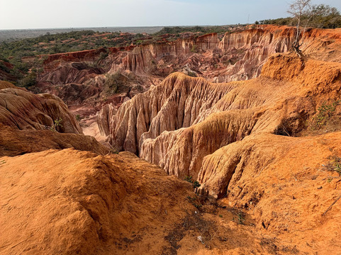 Mimmo Shaibu Kenya Safari-瓦塔木必去景点