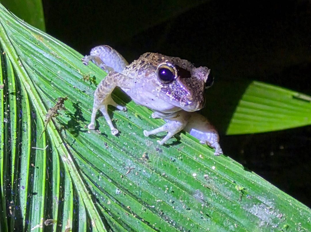 Sukia Travel-德雷克湾必去景点