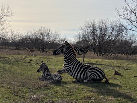 Blue Hills Ranch主图