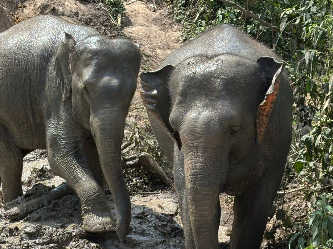 Chang Chill-Mae Win必去景点