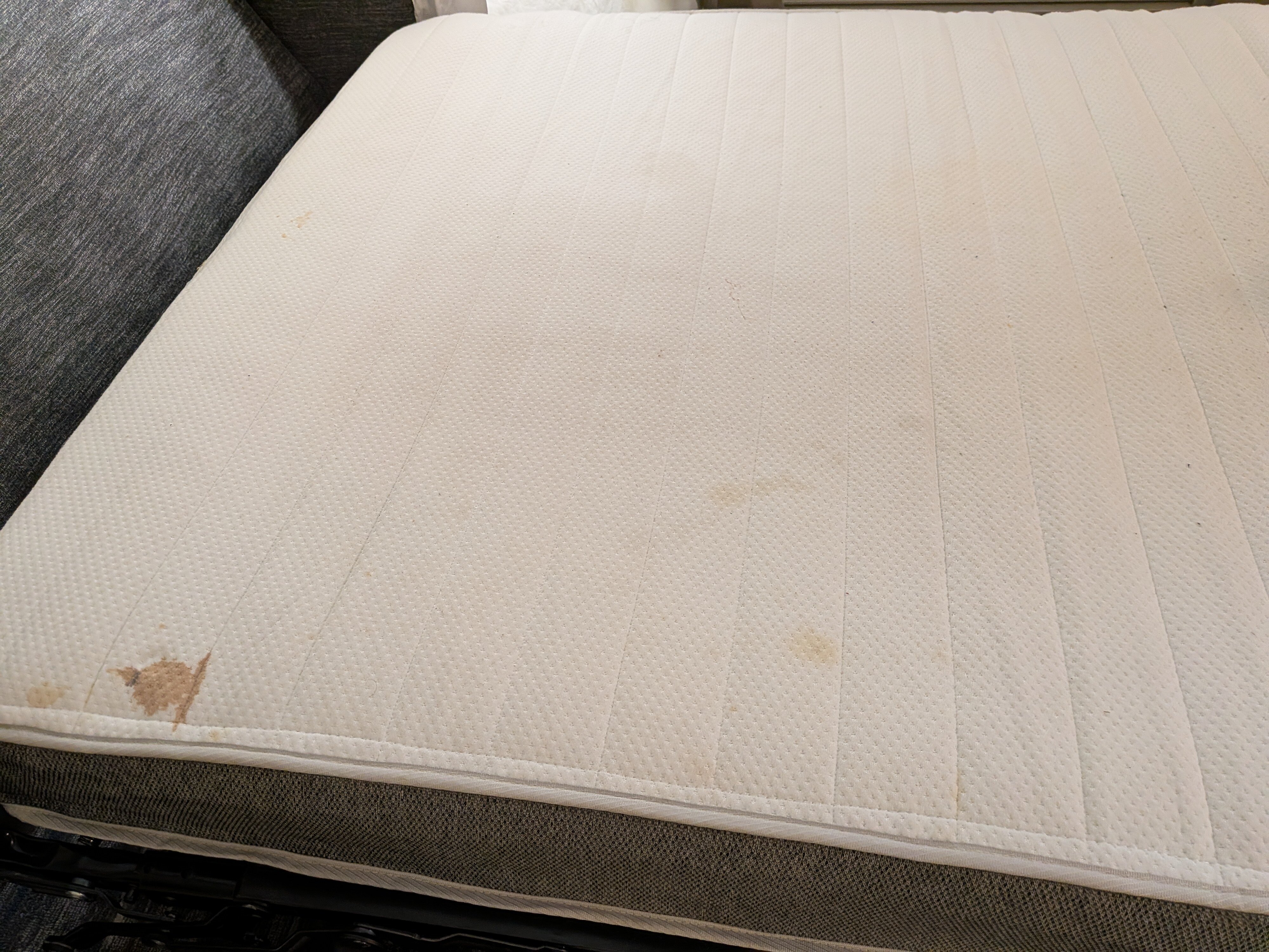 巴吞鲁日艾伦港欢朋套房酒店-客卧