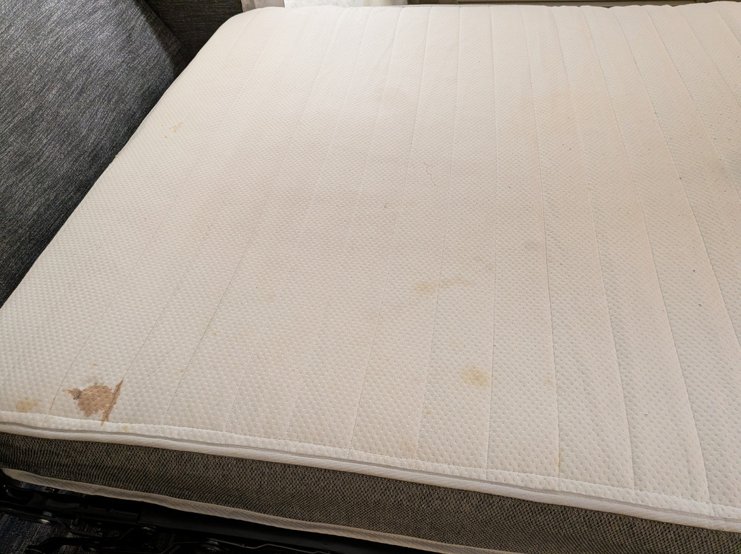 巴吞鲁日艾伦港欢朋套房酒店主图