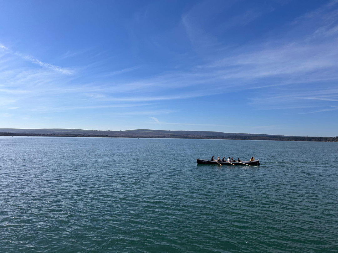 Birds Of Poole Harbour Events-普尔必去景点
