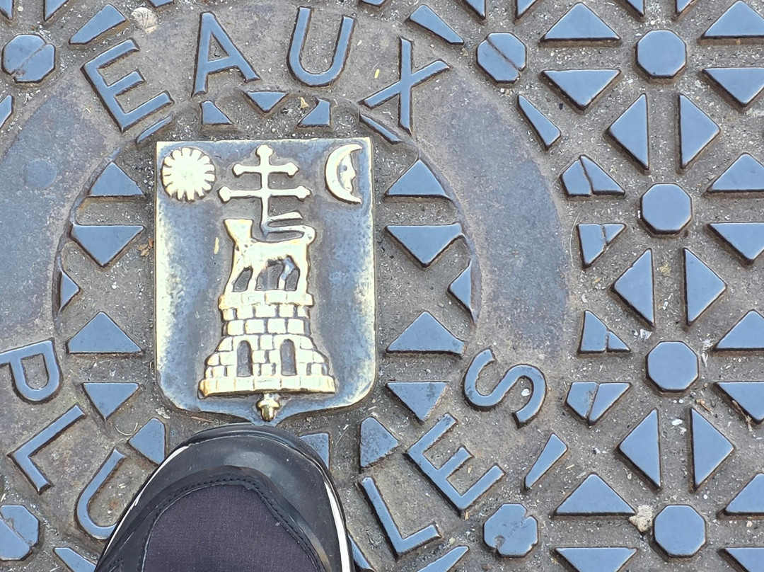 Cloitre de la Collegiale Saint Salvy-阿尔比必去景点