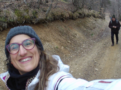 Transylvanian Wolf-Zarnesti必去景点