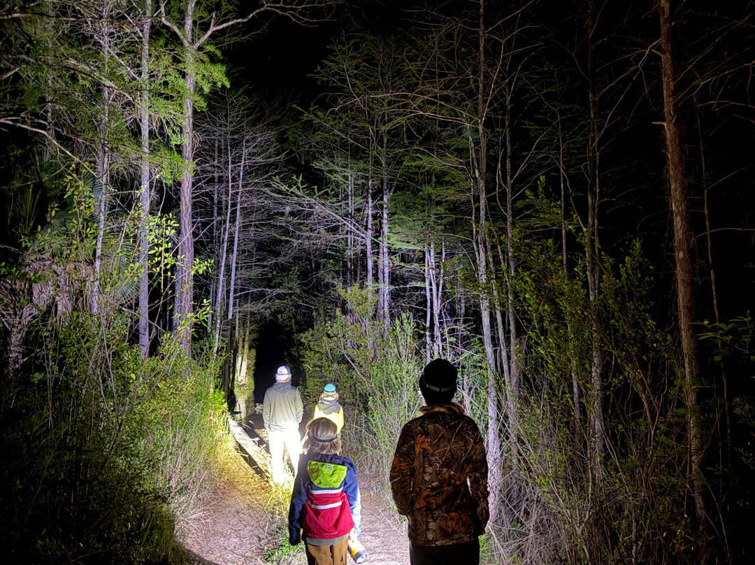 Tour The Glades - Private Wildlife Tours-大沼泽地必去景点