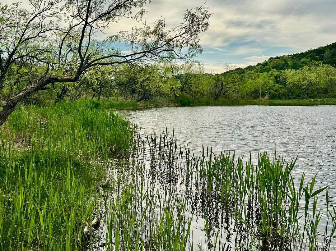 Cedar Ridge Preserve managed by Audubon Dallas.-达拉斯必去景点
