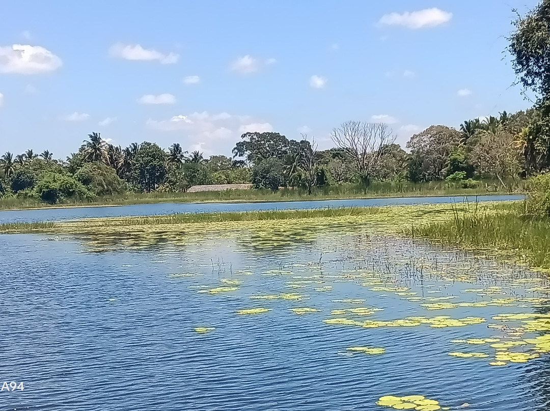Fast Track Travels And Tours-Wattala必去景点