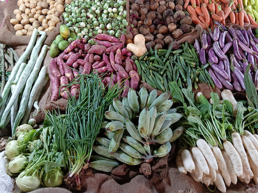 Sri Lankan Safest Driver-Padukka必去景点