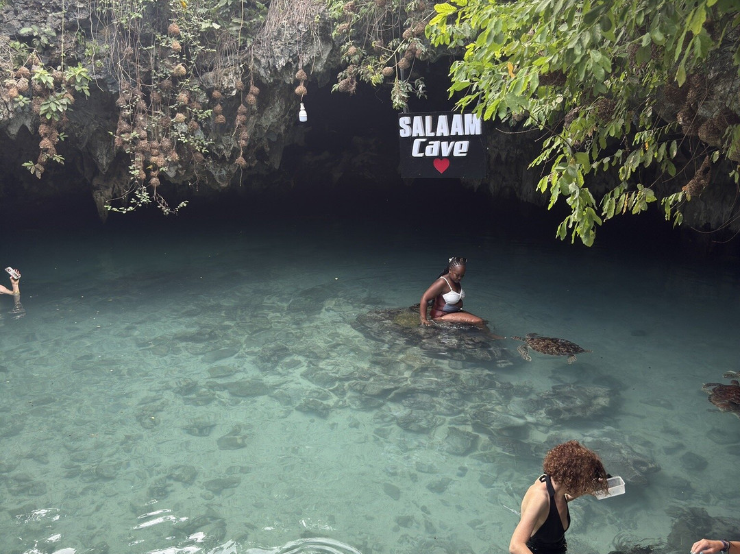 Salaam Cave Aquarium-Kizimkazi Dimbani必去景点