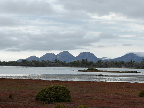 Oyster Bay Tours-科尔斯湾必去景点