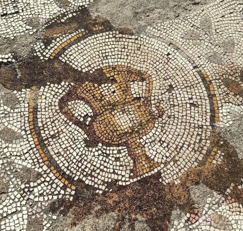 Pupput Roman Site-哈玛麦德必去景点