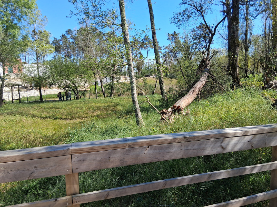Praia Fluvial Dos Olhos Da Fervença