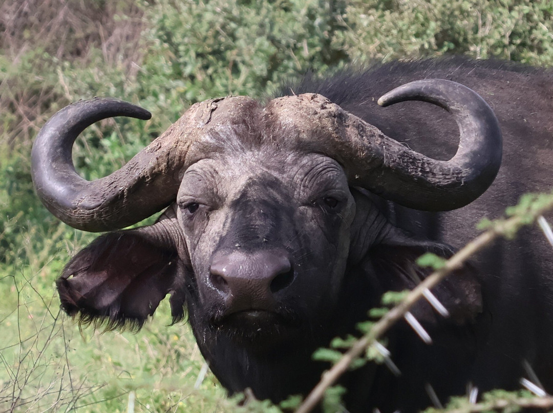 Evergreen Escape Expeditions - Africa-南由基必去景点