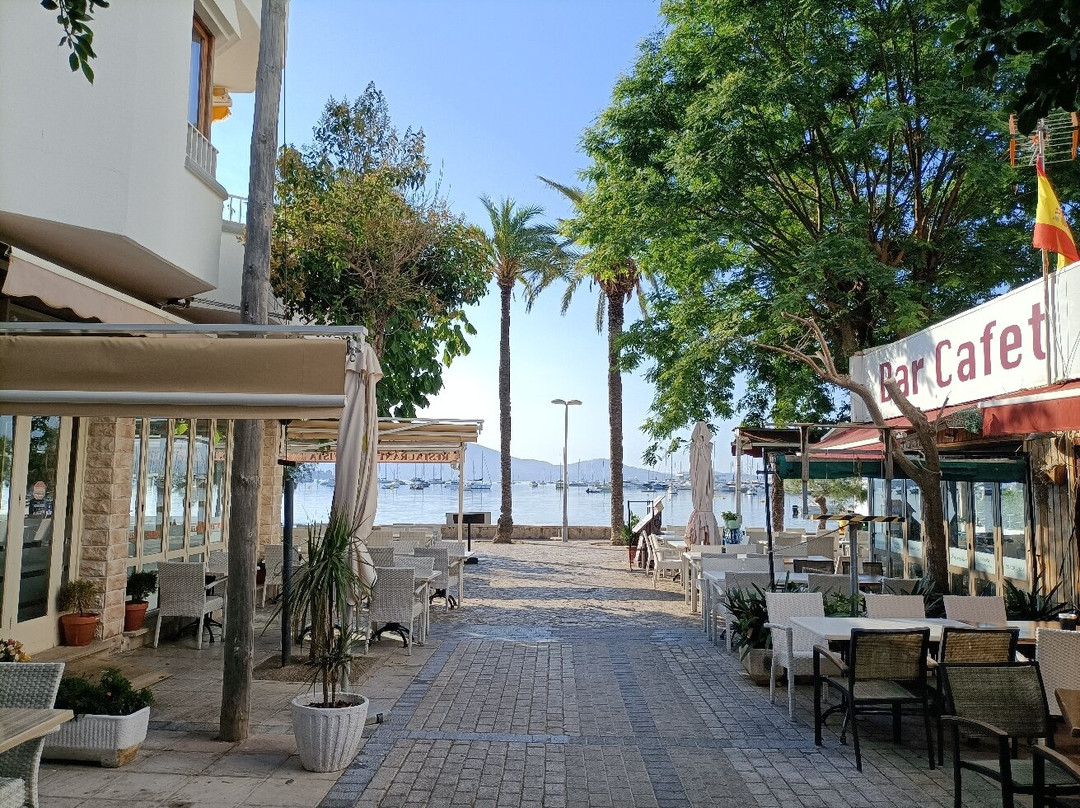 Playa del Puerto de Pollensa-波连萨必去景点