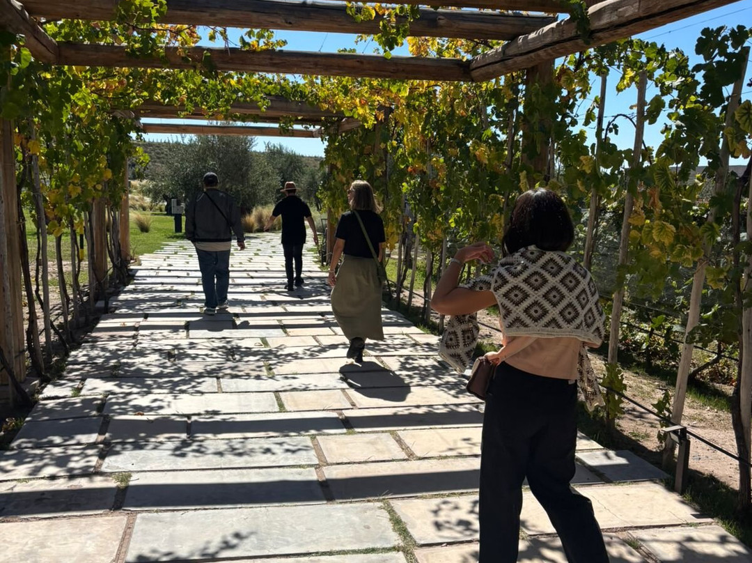 Mendoza Viagem-门多萨必去景点