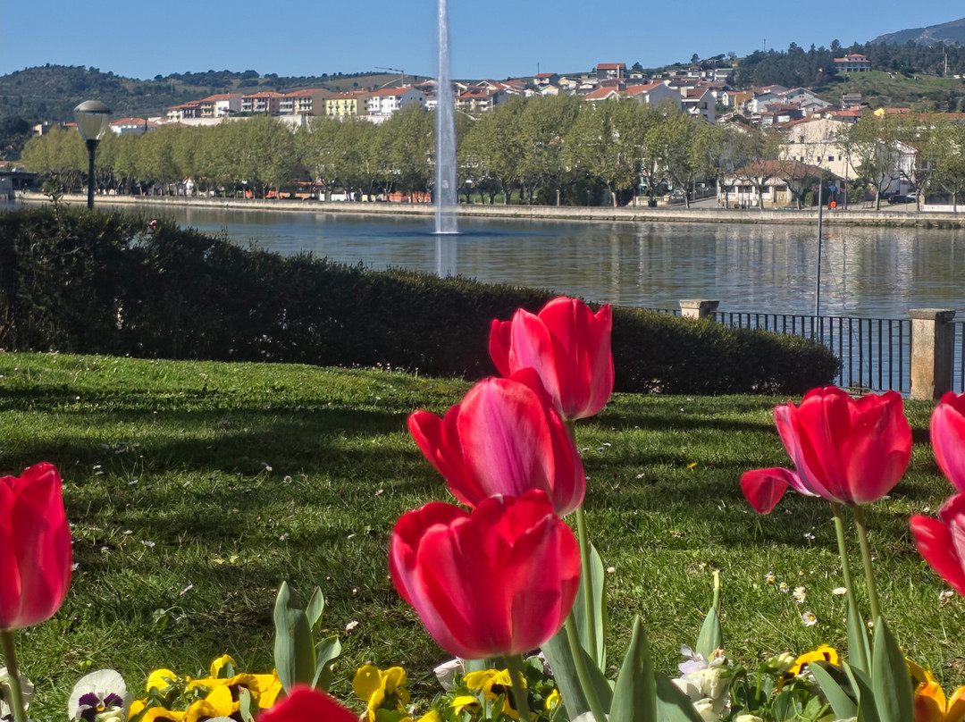 Comboio De Mirandela-Mirandela必去景点